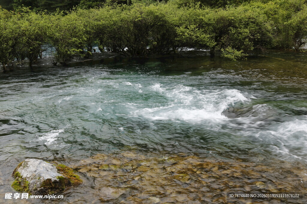 山间溪流 水花灵动之景