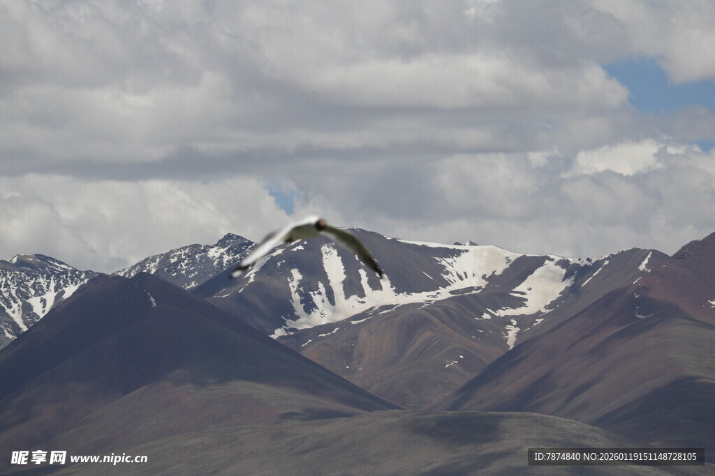 雪山壮丽风光
