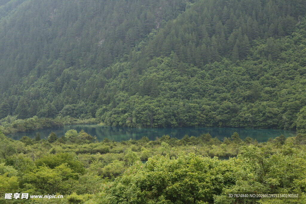 青山绿水间的葱郁景致