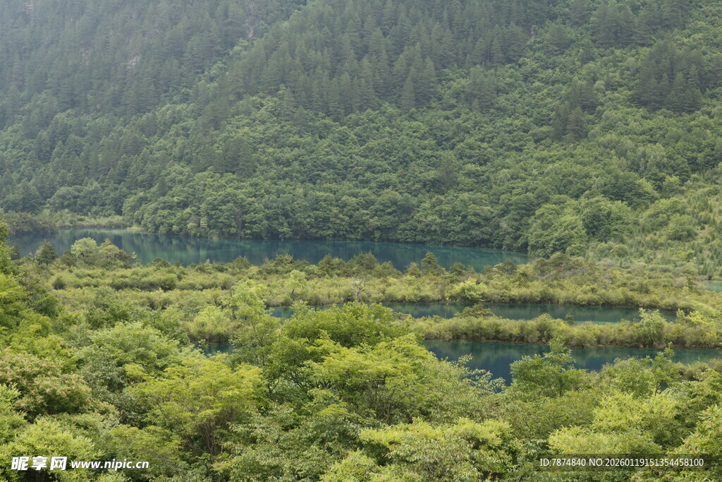 山林间的翠绿湿地景观