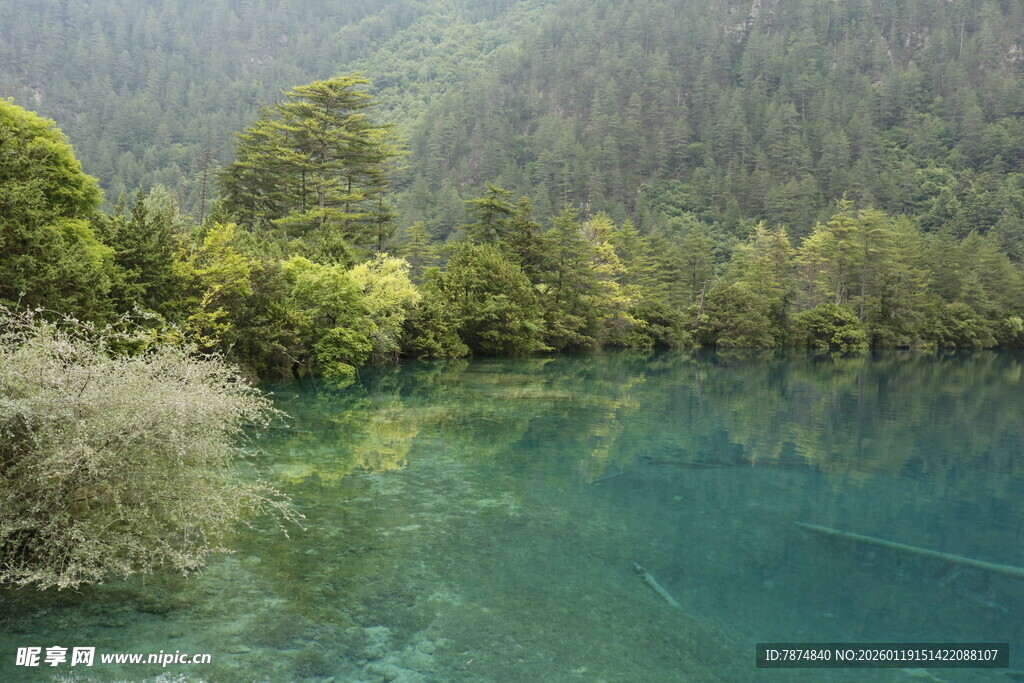 梦幻蓝湖旁的葱郁山林