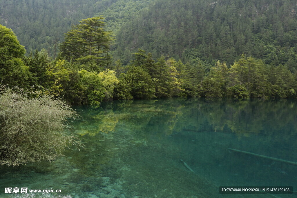 清澈碧绿的山林湖泊美景