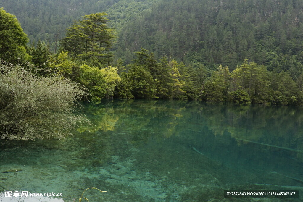 清澈碧绿的山林湖泊美景
