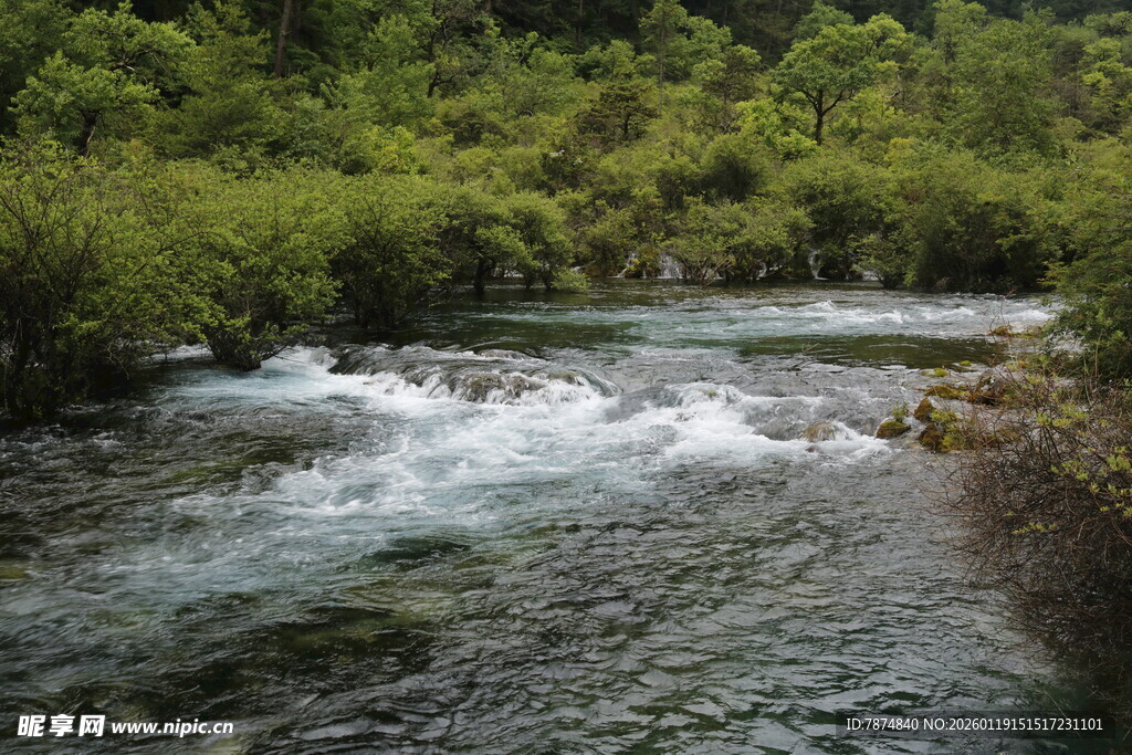 山间溪流 绿意环绕的美景
