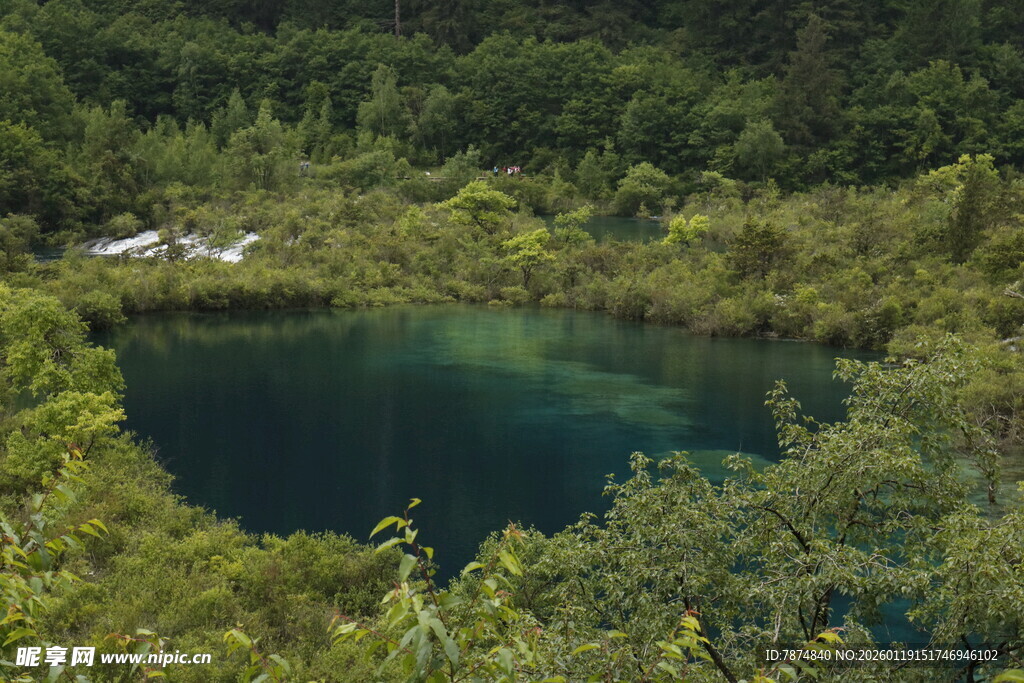 山间幽潭 绿意环绕之景