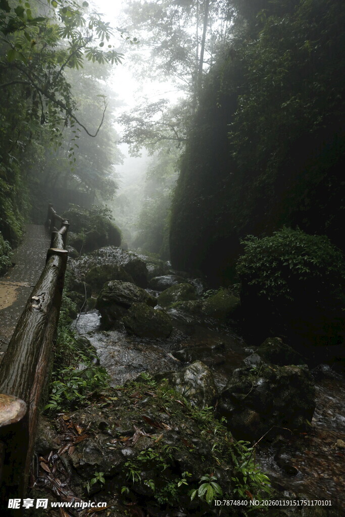 雾中幽径 山林溪流景致