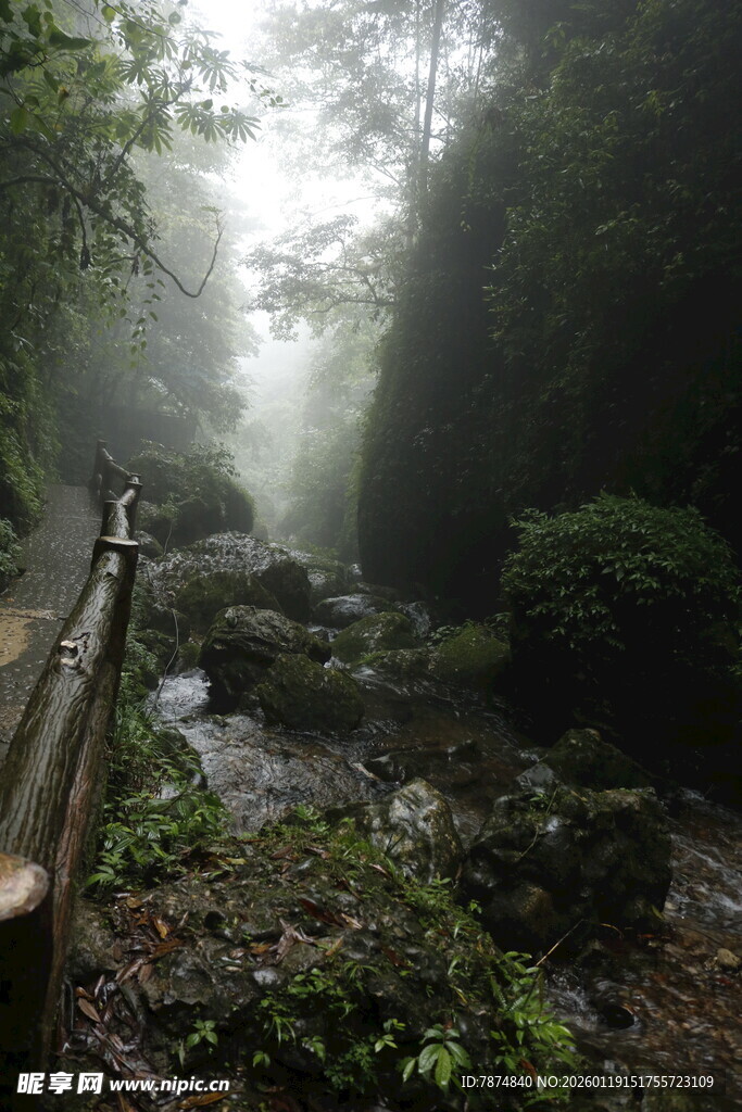 雾中幽谧山林溪流小道