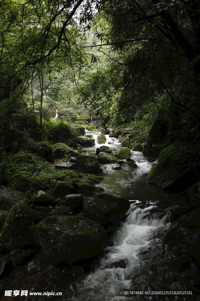 山林间潺潺溪流美景