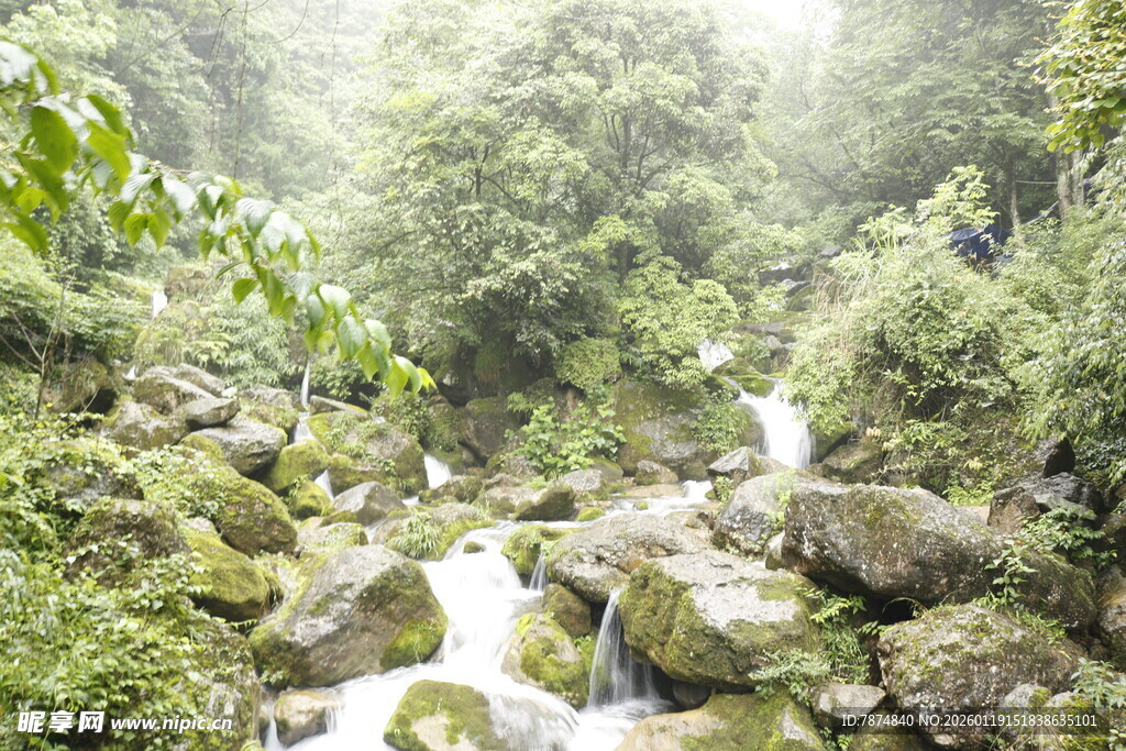 山间溪流处的绿意景致
