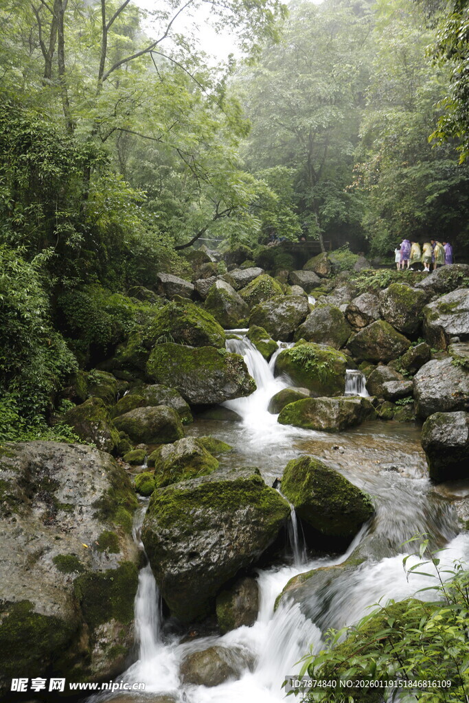 山林间的潺潺溪流