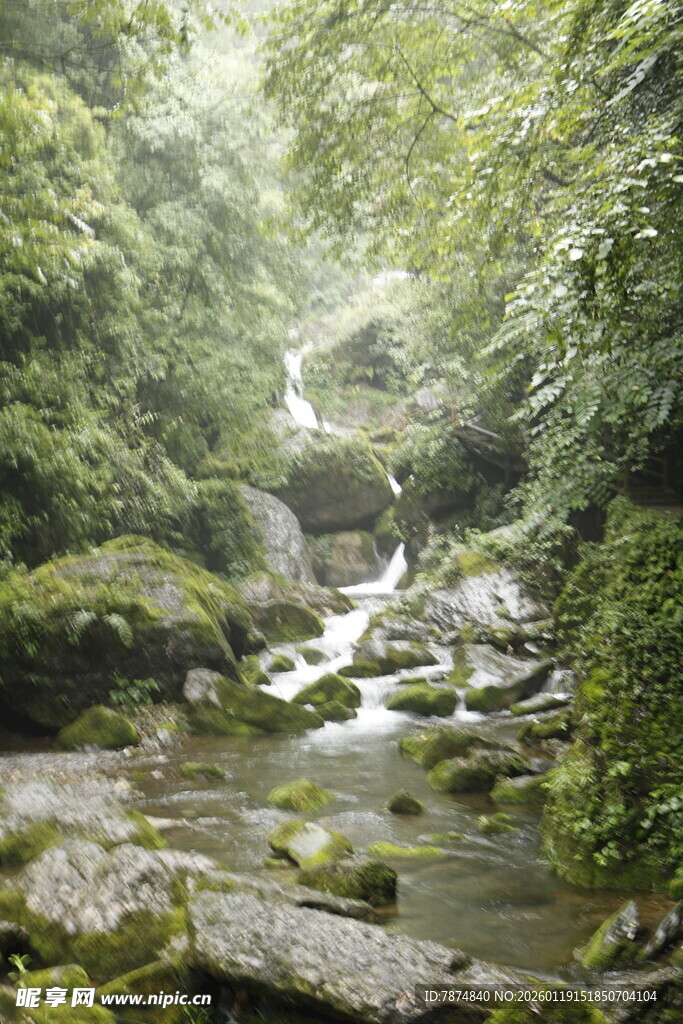 山间溪流穿林而过