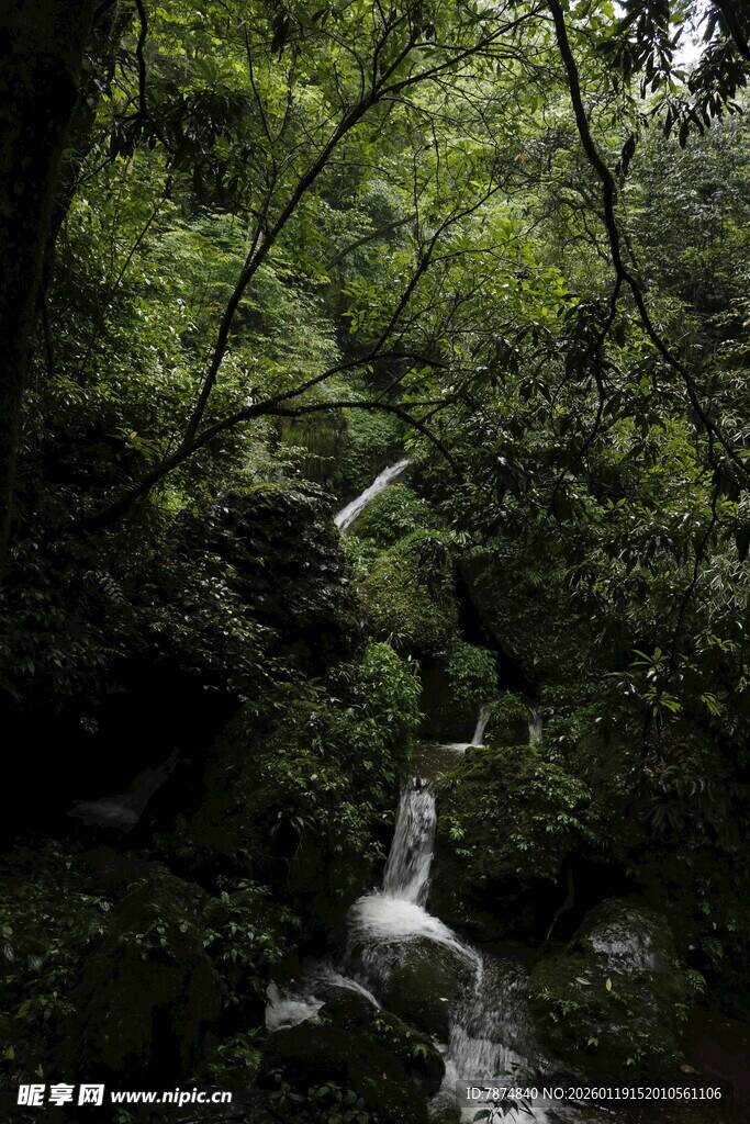 山林间的清幽瀑布景观