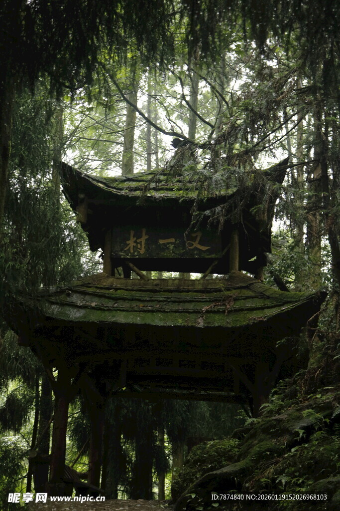 森林中的古朴木质小船