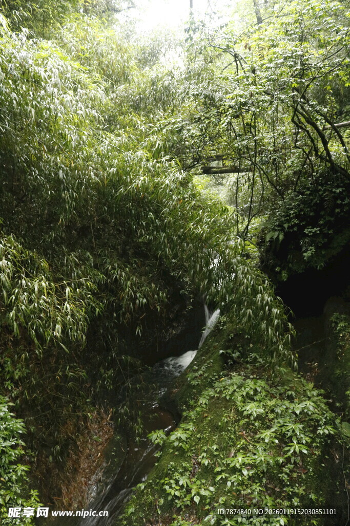 山间绿意盎然的溪流景观