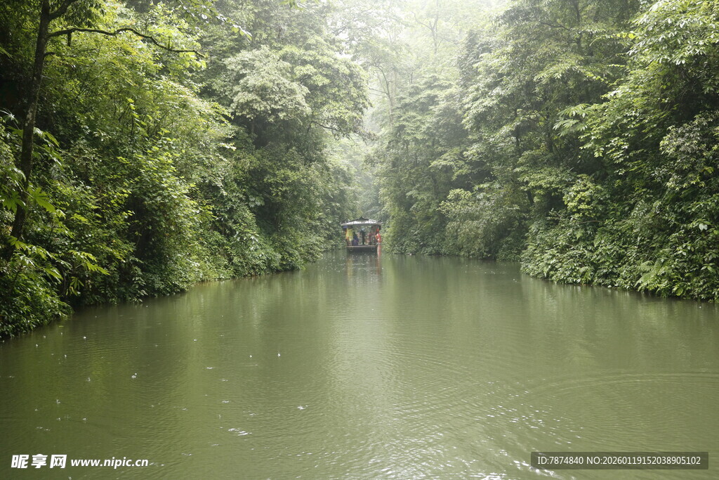 雨林中的静谧河道