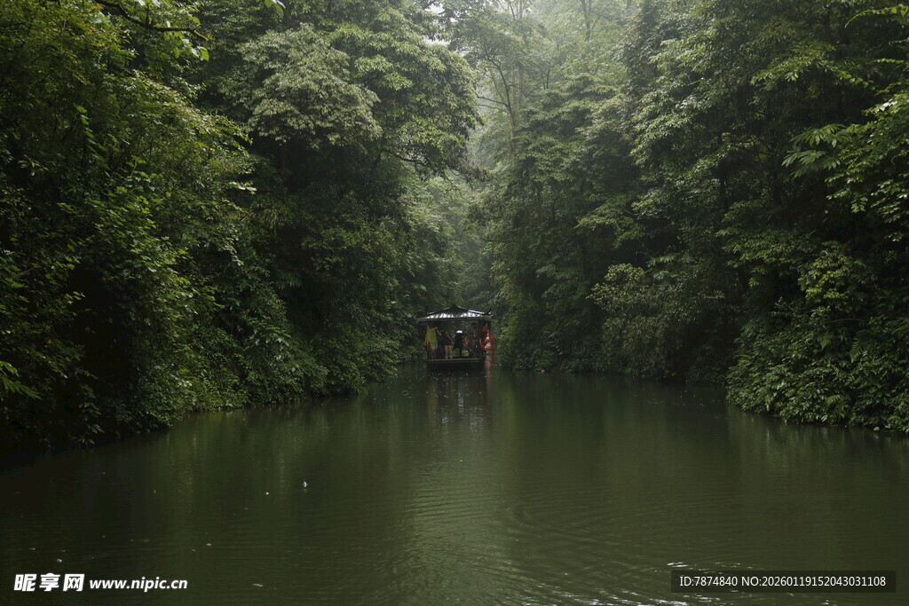 雨林中的静谧河道