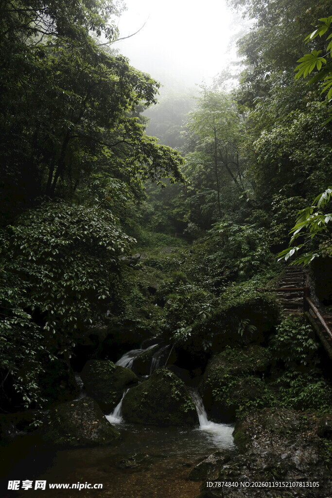 迷雾中的山间溪流
