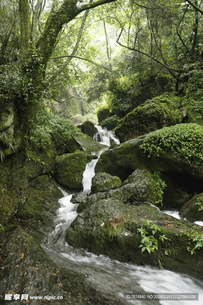 山林间的潺潺溪流