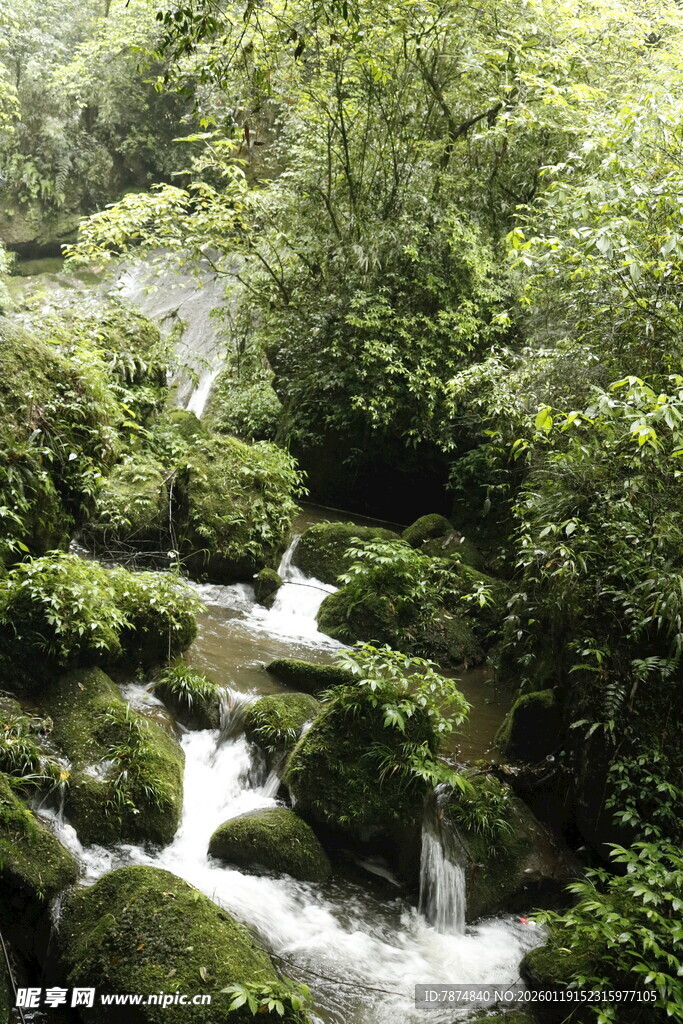 山间溪流 绿意盎然的自然景