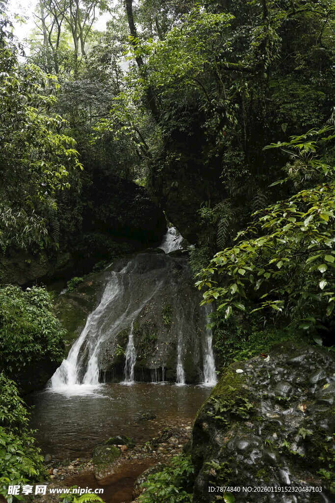 山间瀑布 绿意环绕的美景