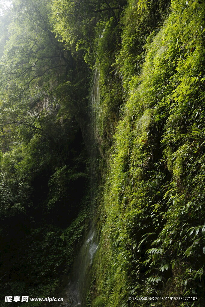 翠绿山间的潺潺瀑布