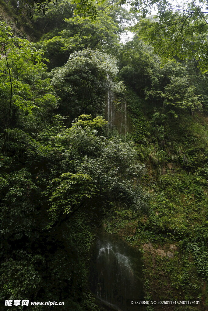山林间的清幽瀑布景观
