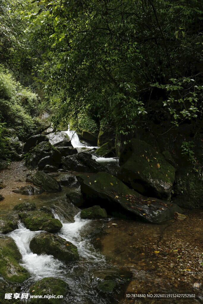 山间溪流 绿意盎然的景致