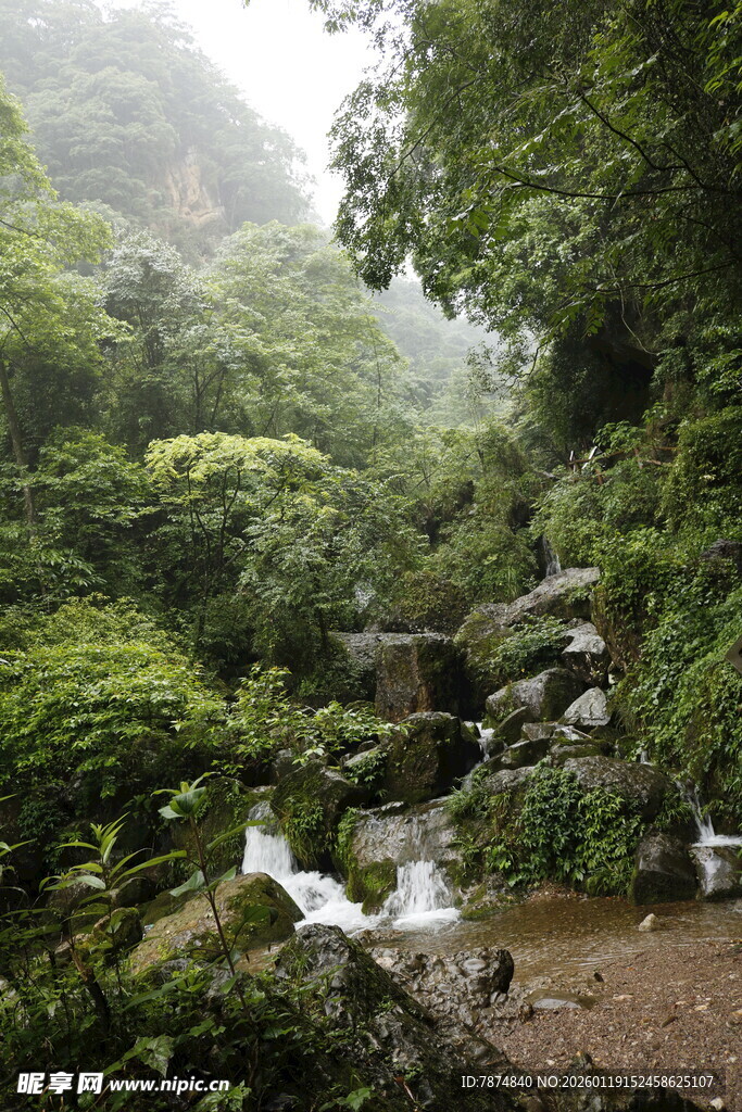 山林间的清幽溪流景观