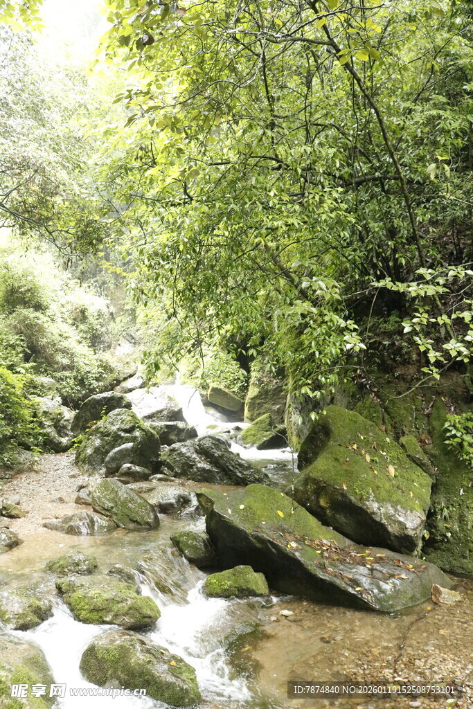 山林间的潺潺溪流