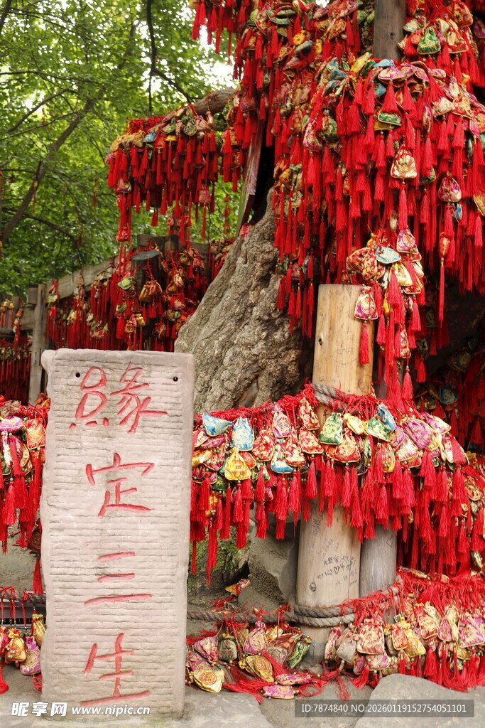 祈福树下祈愿牌满满