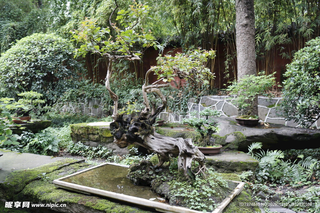 日式庭院景观 静谧自然