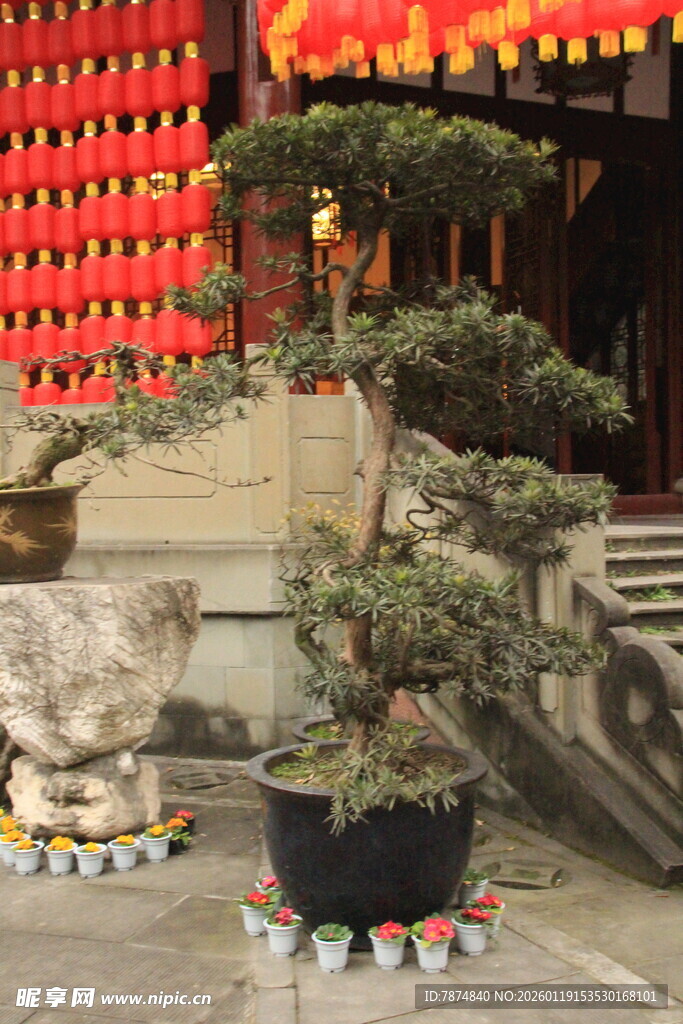 中式庭院盆景景观
