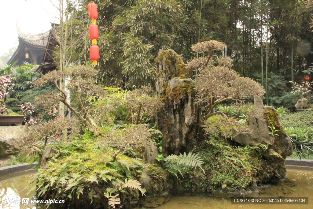 中式园林假山绿植景观