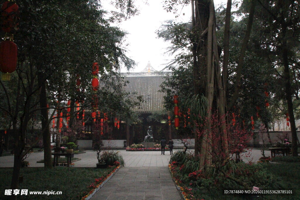 林荫小道 静谧园林景致
