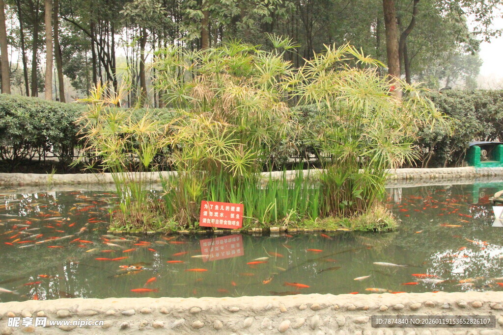 池塘绿植景观