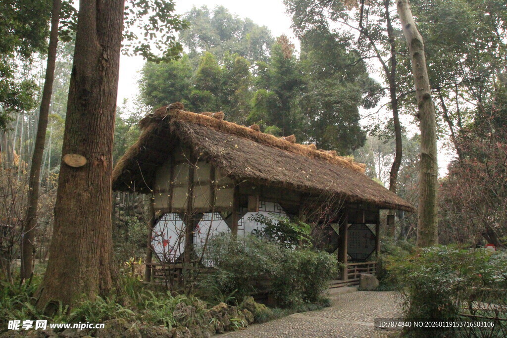 林间古朴小屋静立