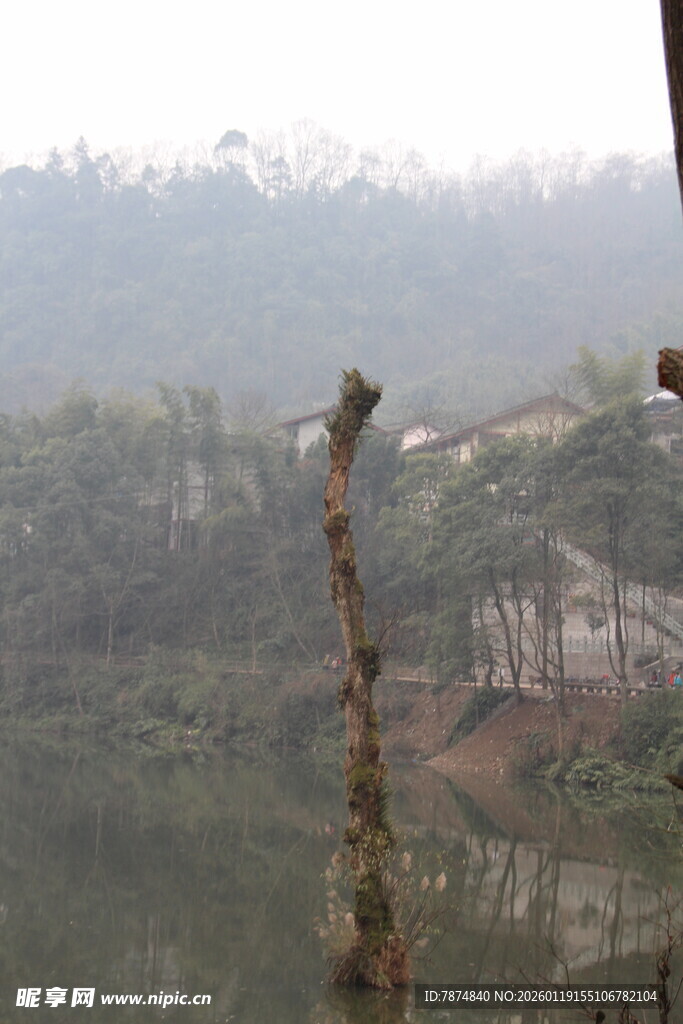 雾中山林景观