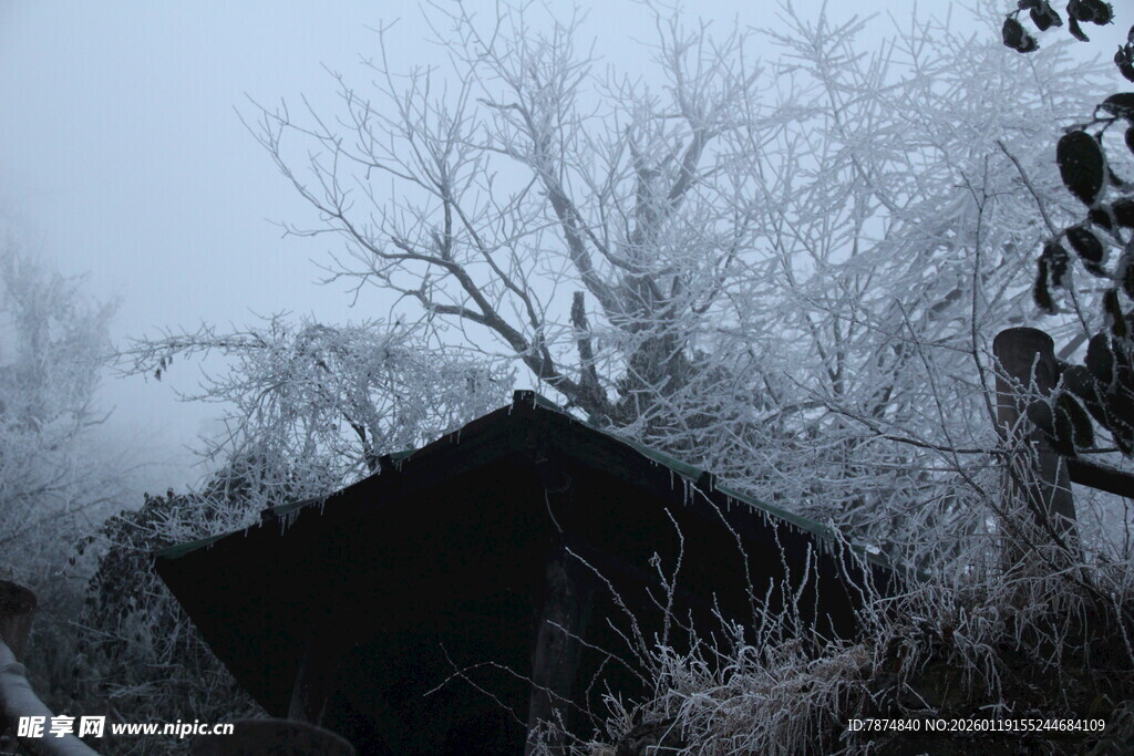 雾中覆霜小屋与枯树