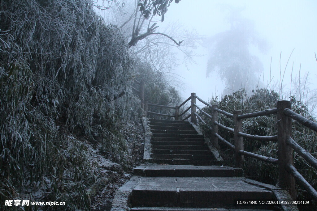 雾中覆雪的山间木质阶梯