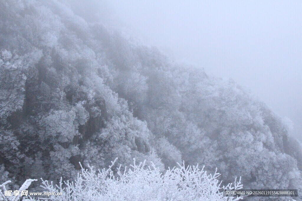 雪覆山林 雾气弥漫之景