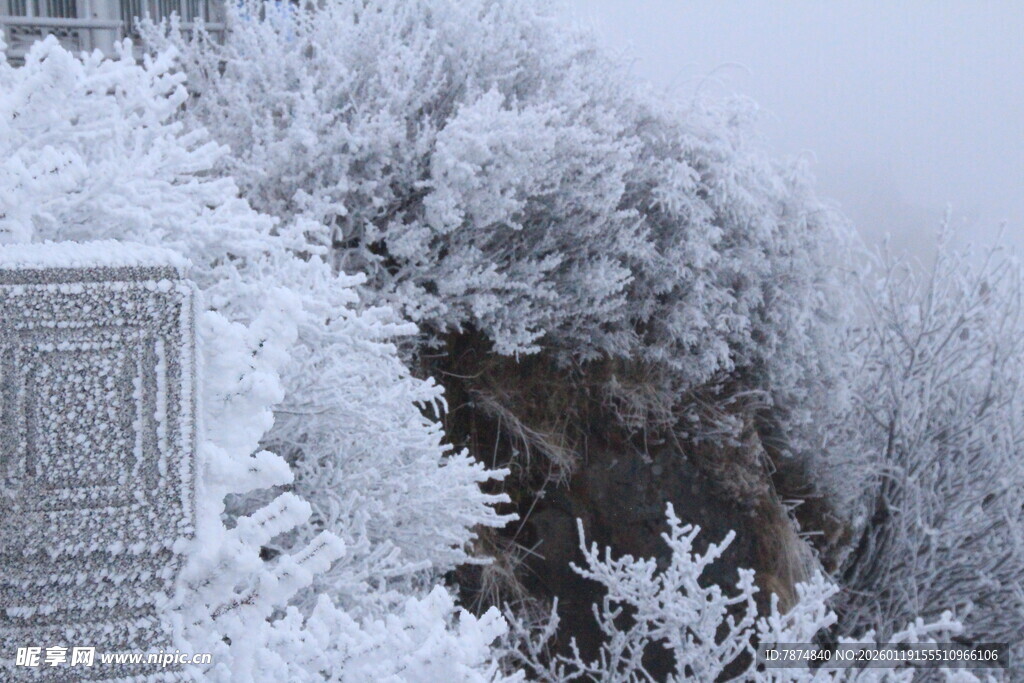 雪覆山林美景
