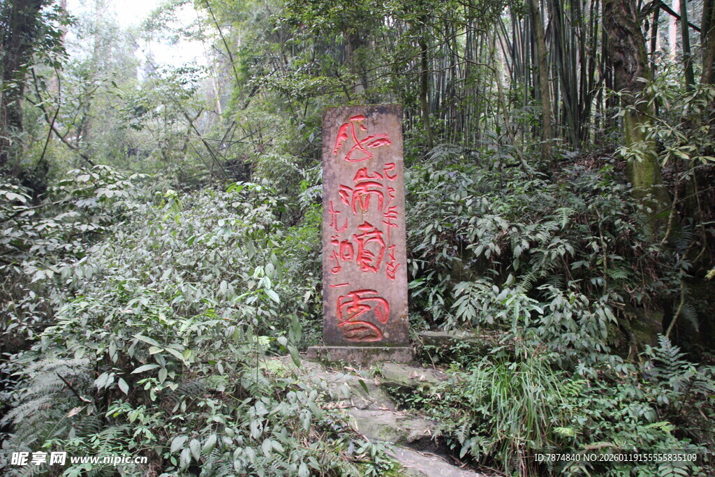 林中红色告示牌