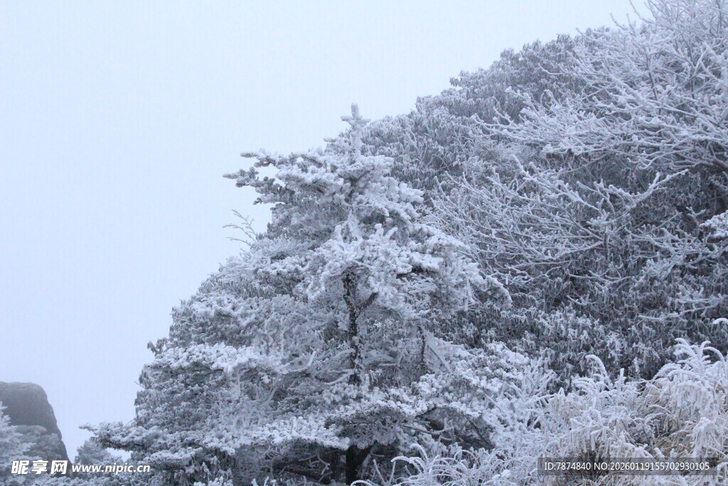 雪覆山林美景