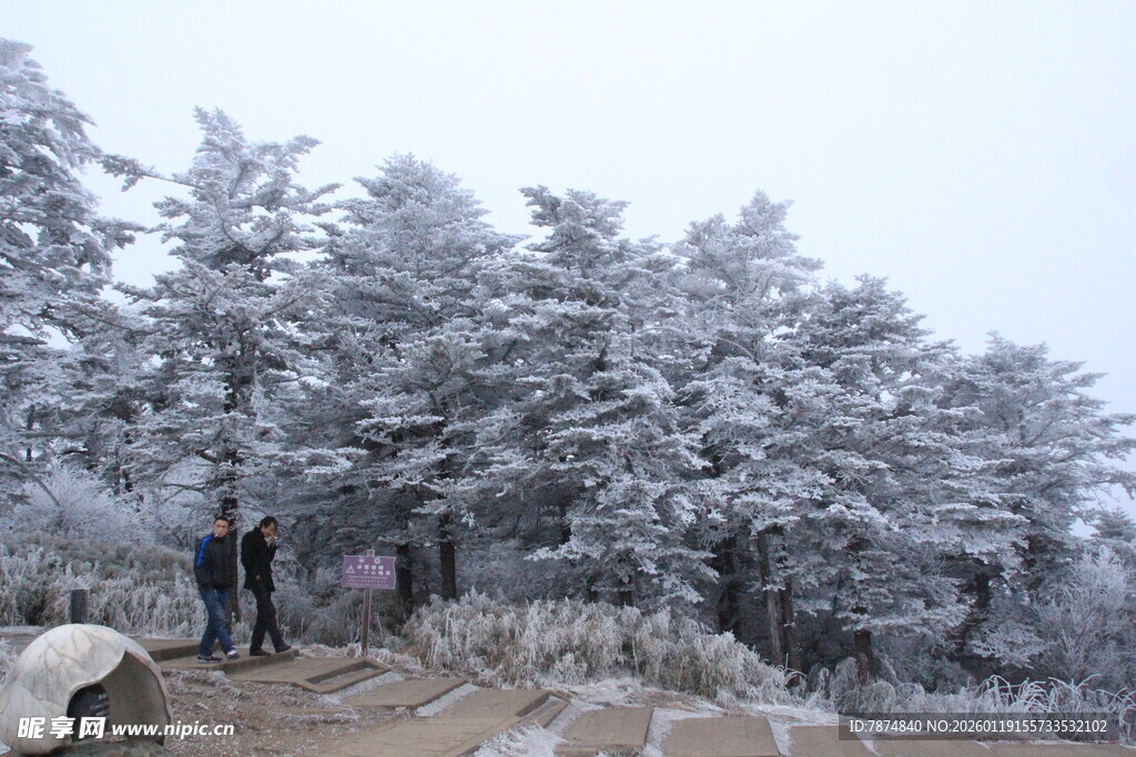 雪覆山林中的徒步者