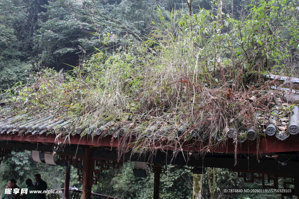屋顶覆绿植的山间建筑