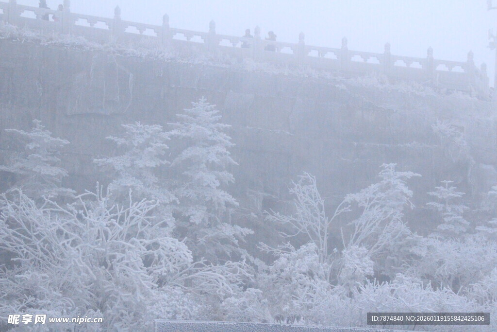 雪覆山林美景