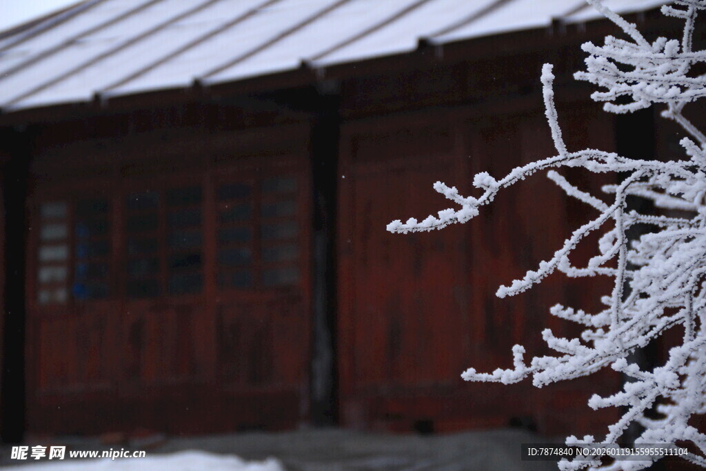 雪覆木屋 枝头挂霜美景