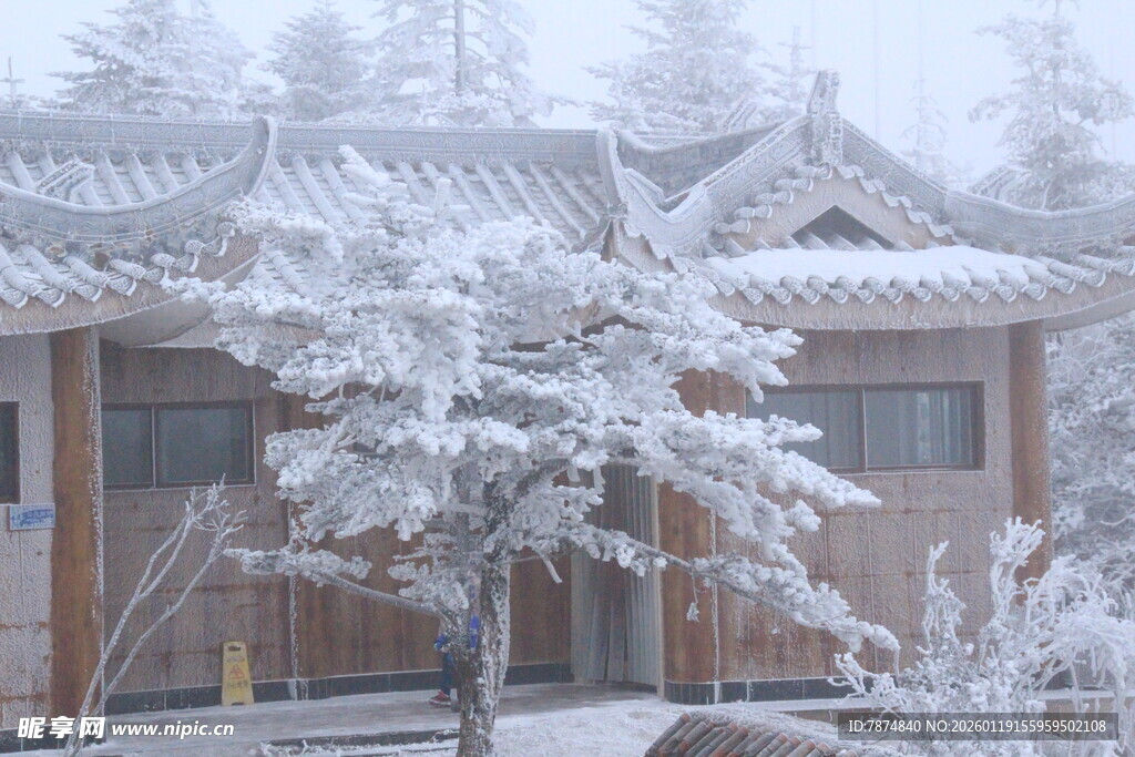 雪覆古宅旁银树