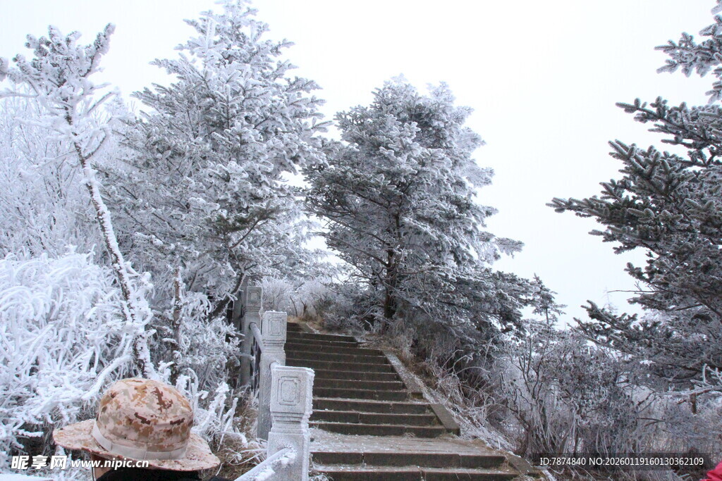 雪覆山林中的石阶景观