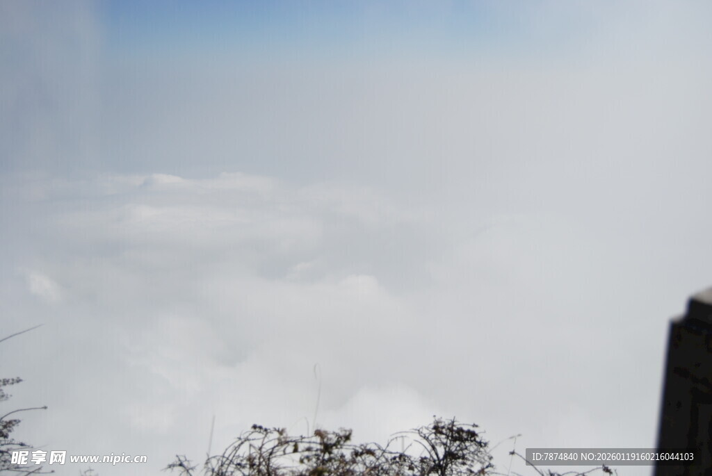 云雾缭绕中的建筑与树枝